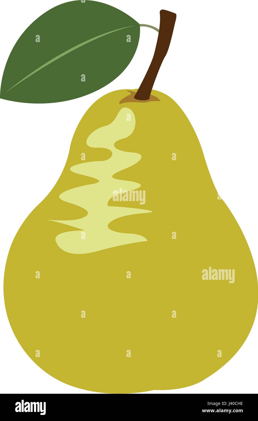 Isolated pear fruit Stock Vector Image & Art - Alamy