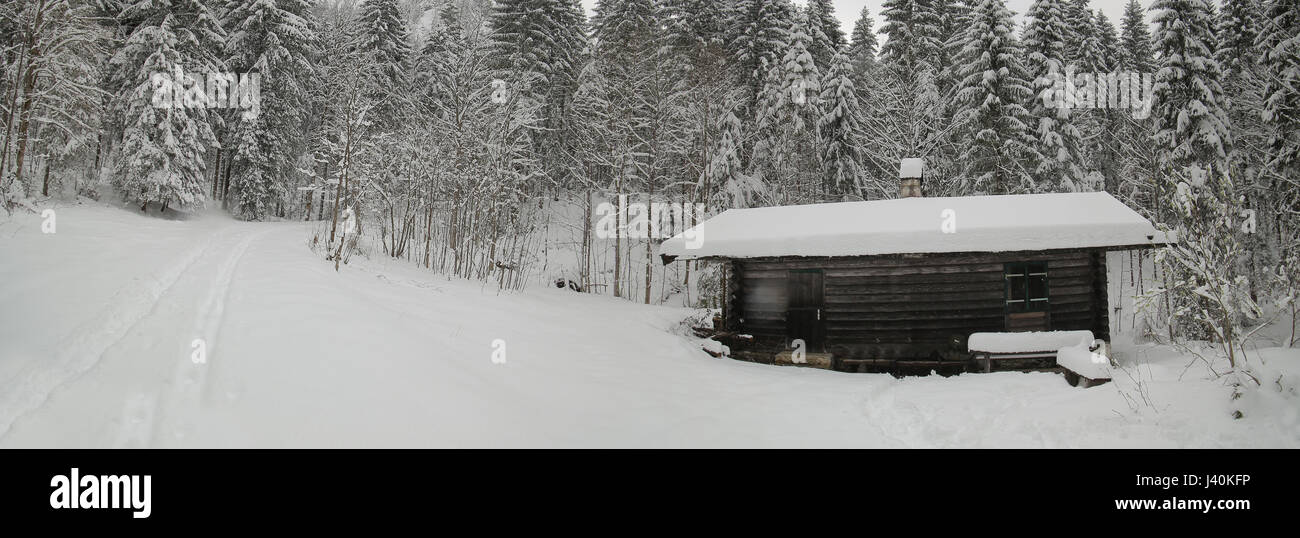 Snow covered alpine hut in a coniferous forest in Chiemgau Alps, Germany. Stock Photo