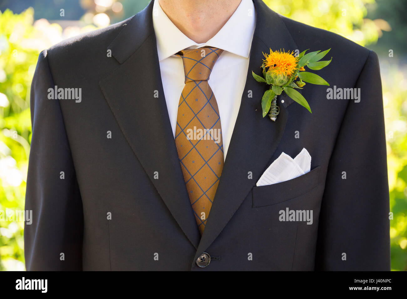 Groom Formal Attire on Wedding Day Stock Photo - Alamy