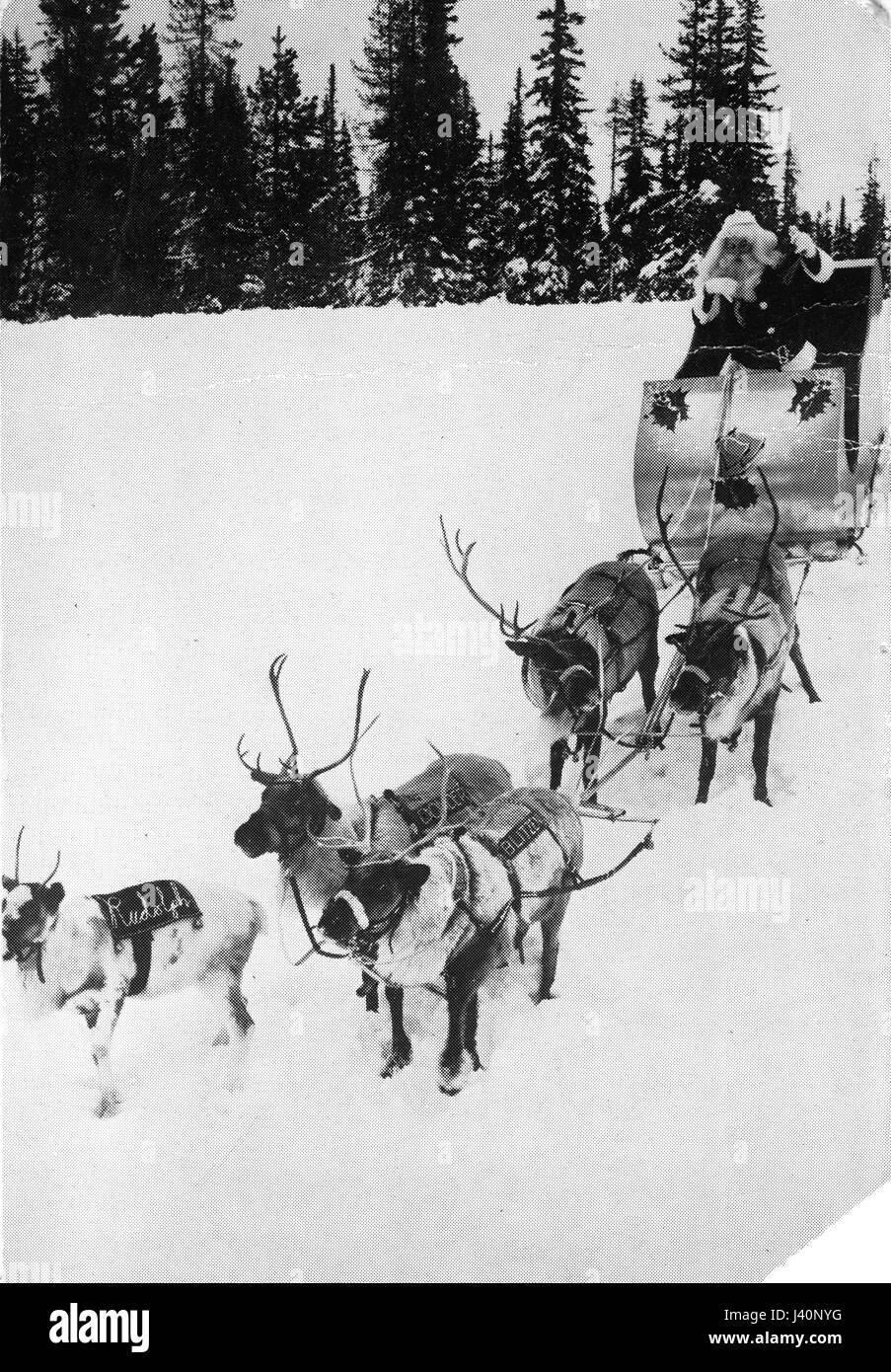 Santa Clause in a silvery sleigh, being pulled by five, live Reindeer.  They are going down a snowy hillside, a forest of live evergreen trees behind them.  Santa's sleigh has holly and bells painted on its front.  To see my other Christmas-related vintage images, Search:  Prestor  vintage  holiday  vehicle Stock Photo