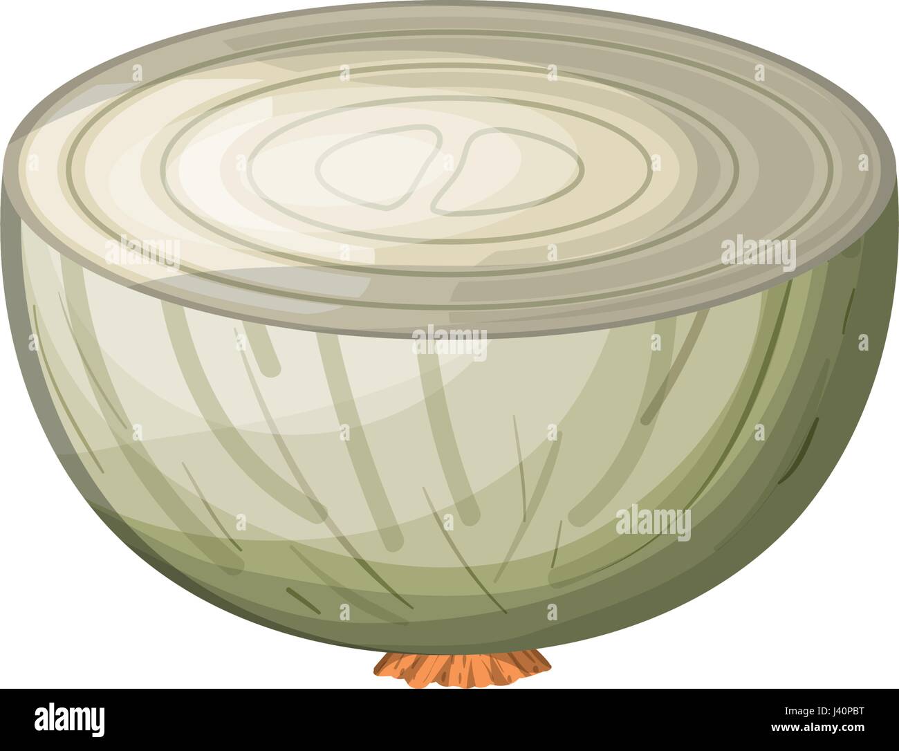 white background of middle onion in closeup Stock Vector Image & Art ...