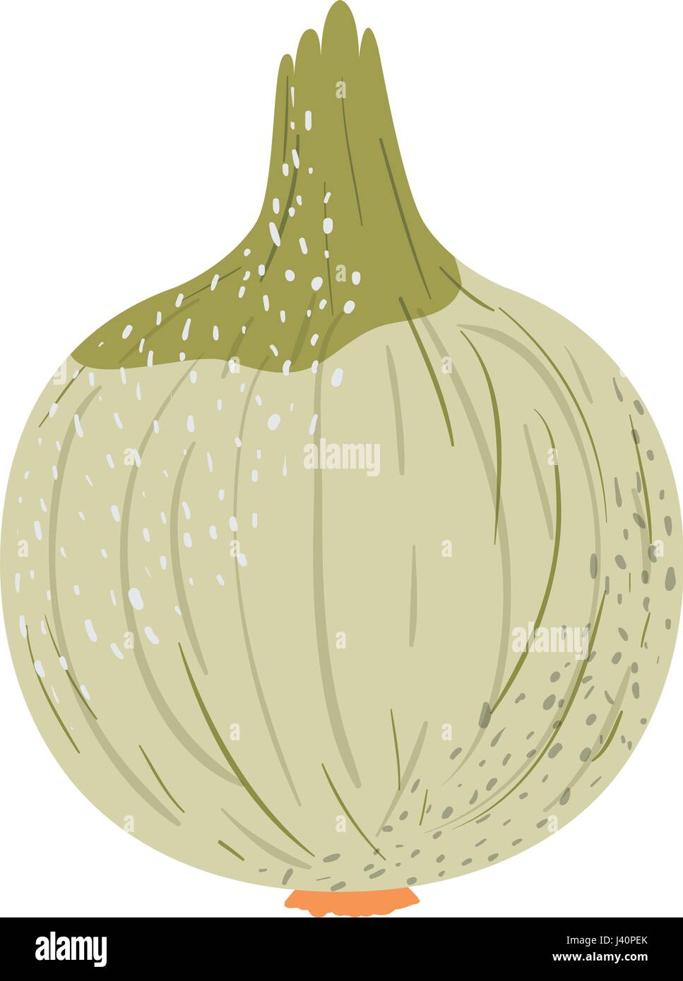 white background with onion with stains Stock Vector Image & Art - Alamy
