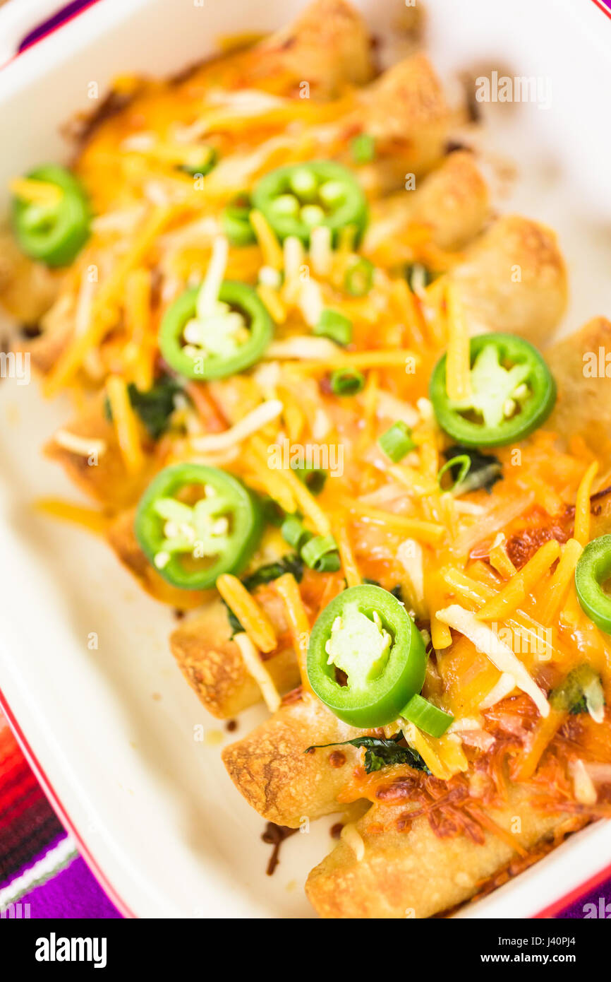 Chicken enchiladas with cheddar cheese and sauce Stock Photo Alamy