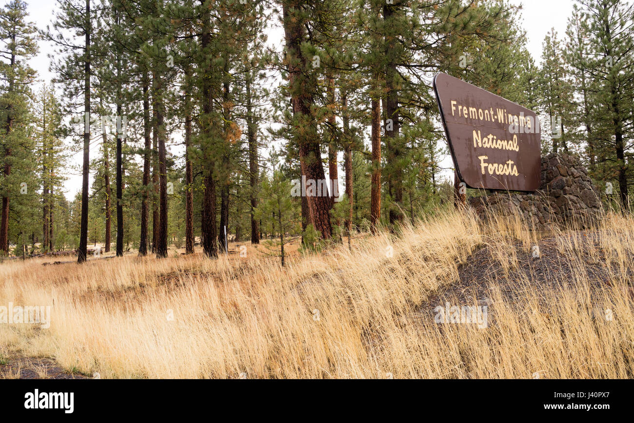 A horizontal composition of a national forest sign in the west Stock Photo