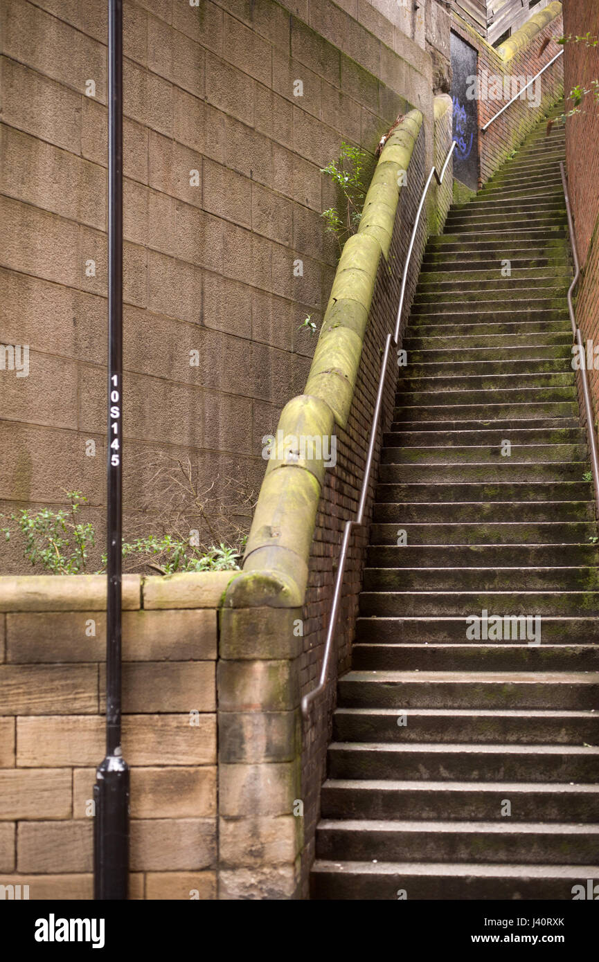 Dog leap stairs newcastle upon tyne hires stock photography and images