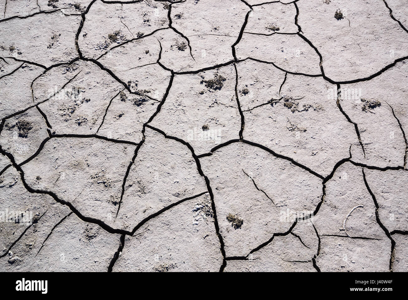 Texture cracked earth in day time. Extreme terrain background Stock Photo