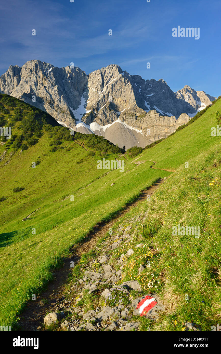 Marked hiking trail to Lamsenspitze, Schafkarspitze and Hochglueck, Karwendel, Tyrol, Austria Stock Photo