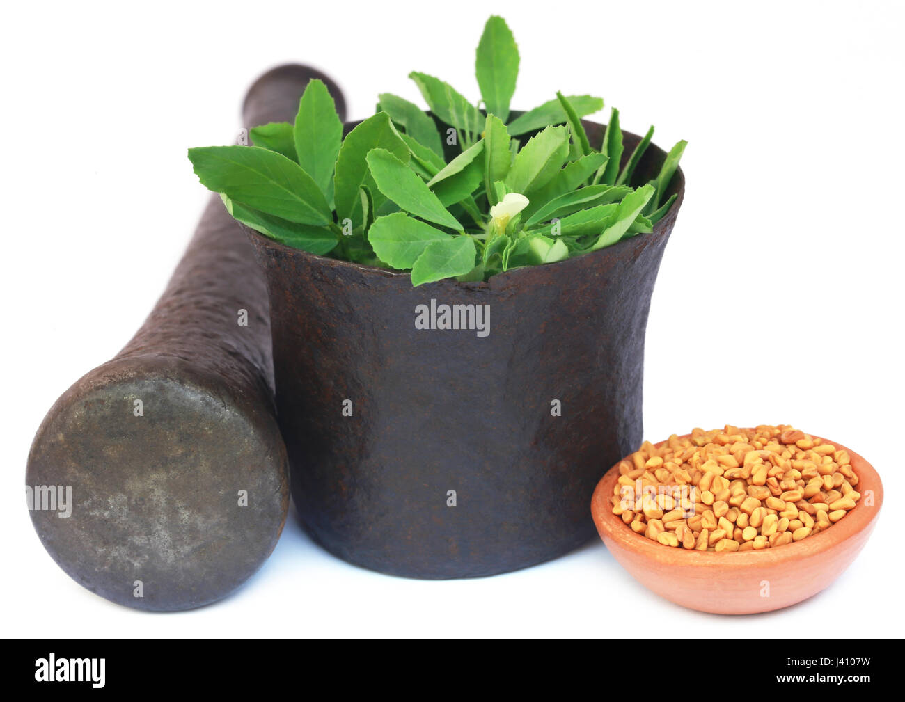 Fenugreek leaves with seeds in a mortar with pestle Stock Photo