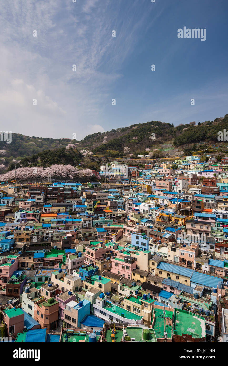 View of Brightly painted houses in Gamcheon Culture Village, Busan