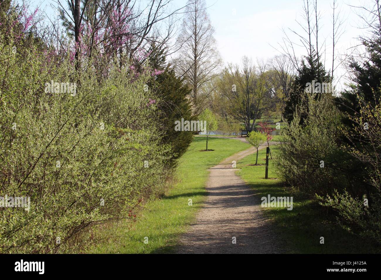 A beautiful spring day exploring the beauty of nature in the park. Stock Photo