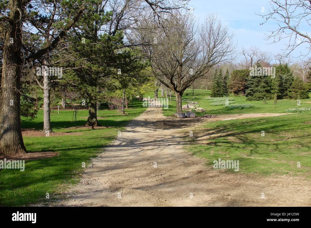 A beautiful spring day exploring the beauty of nature in the park. Stock Photo