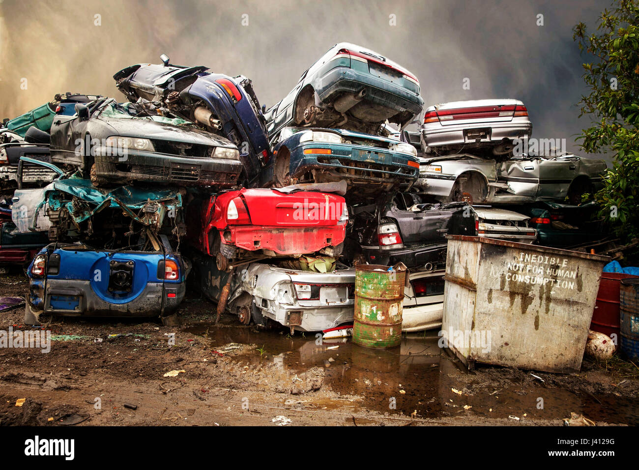 Abandoned vehicles hi-res stock photography and images - Alamy