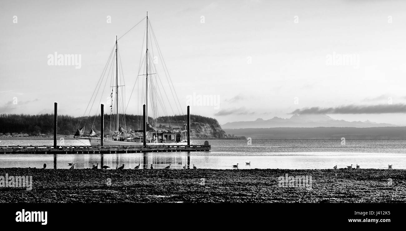 Sailboat docked at dawn BW Image Stock Photo