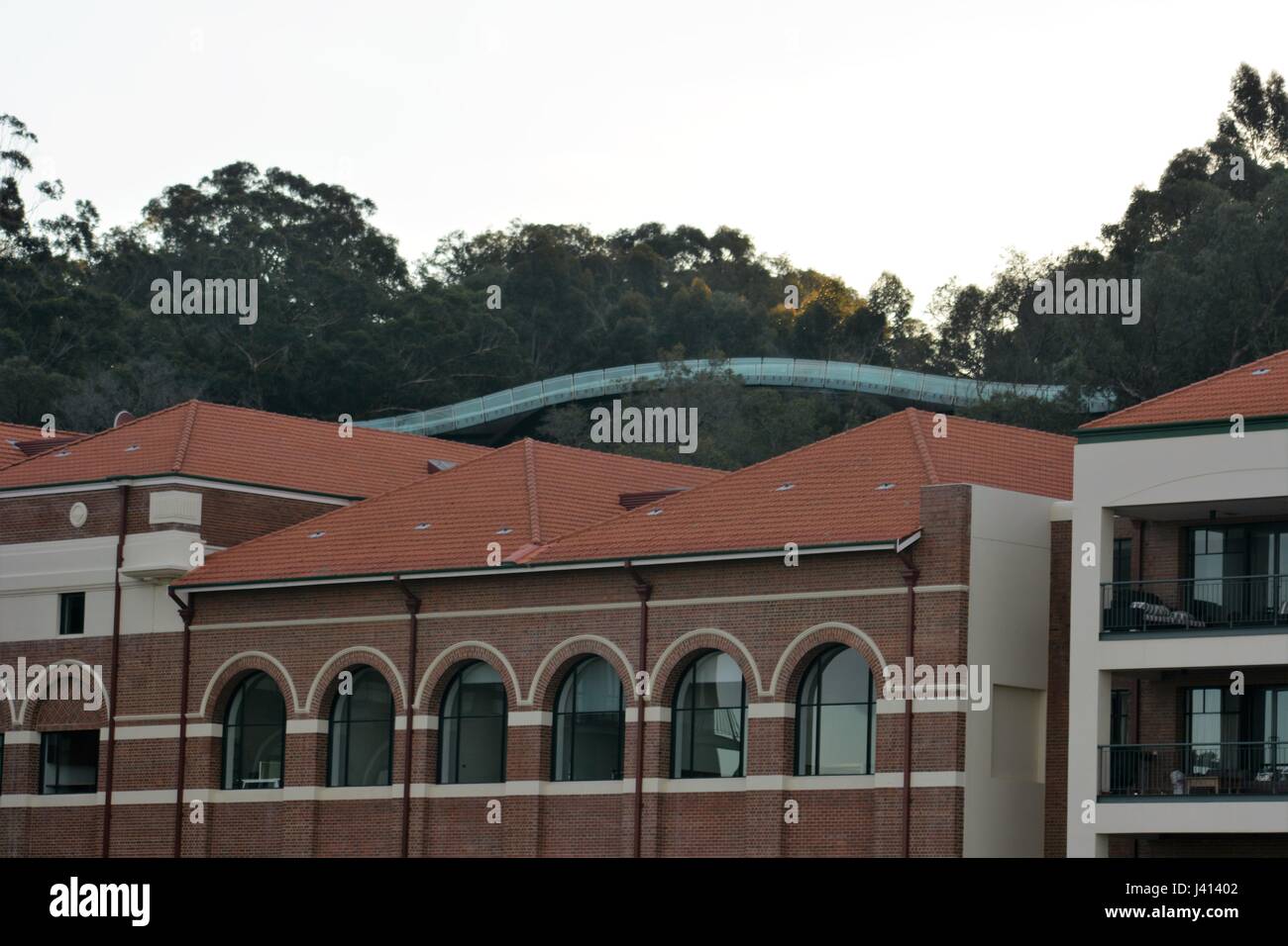 Lottery Federation walkway Kings park Perth Australia Stock Photo Alamy