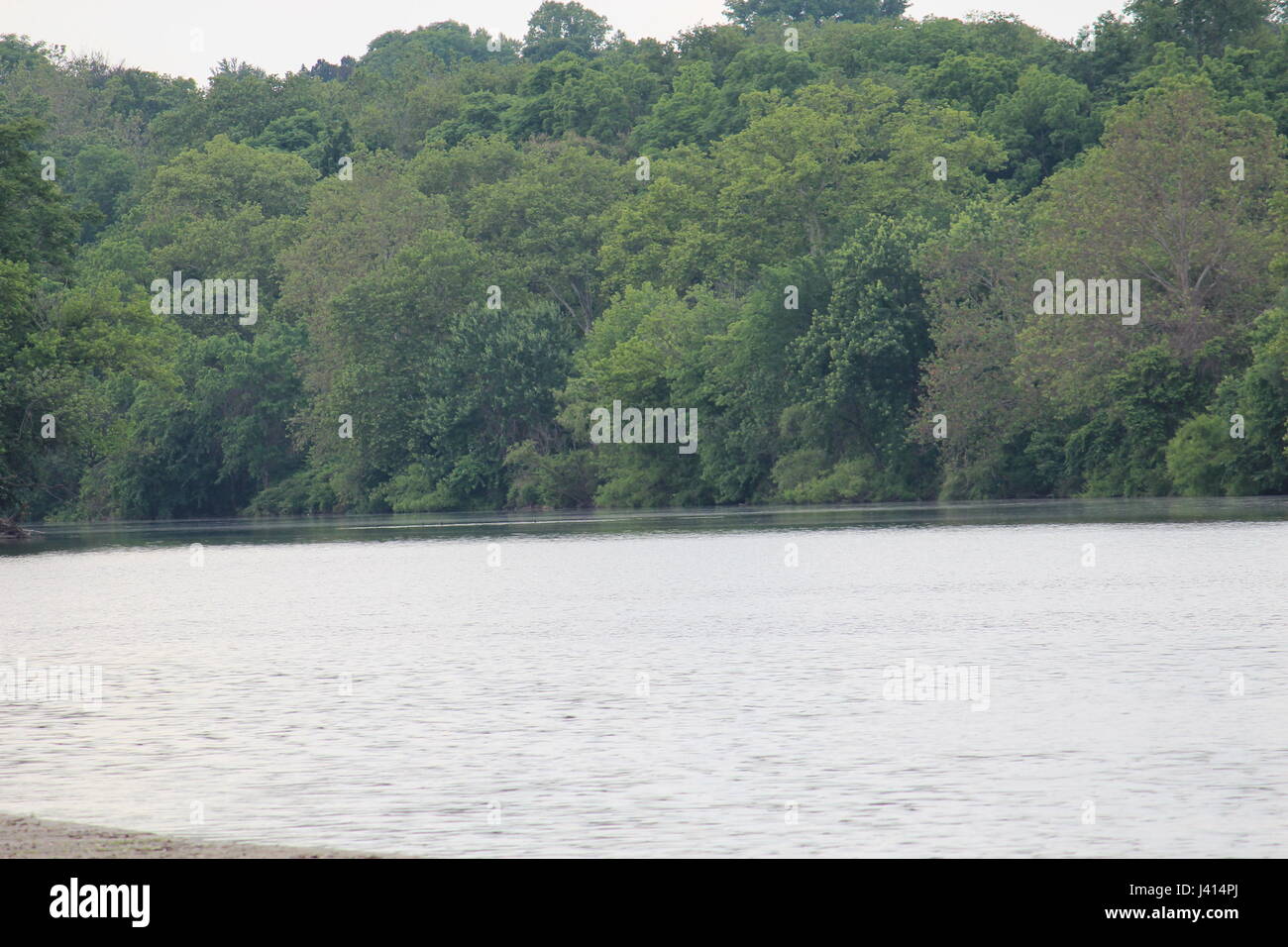 The Schuylkill River in East Fairmount Park Philadelphia Stock Photo ...