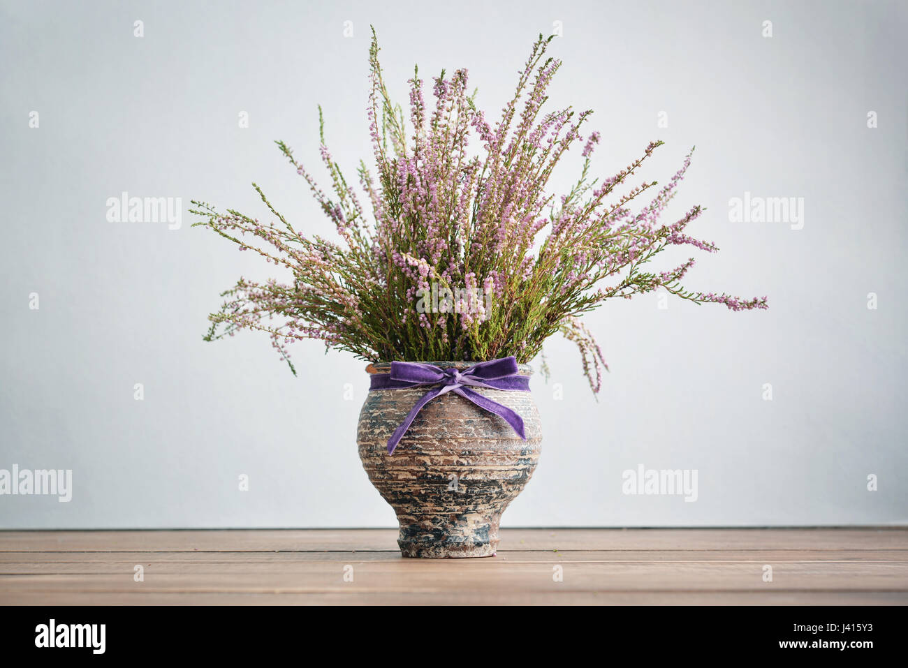 Calluna vulgaris (known as common heather, ling, or simply heather) in vase on blue  background Stock Photo