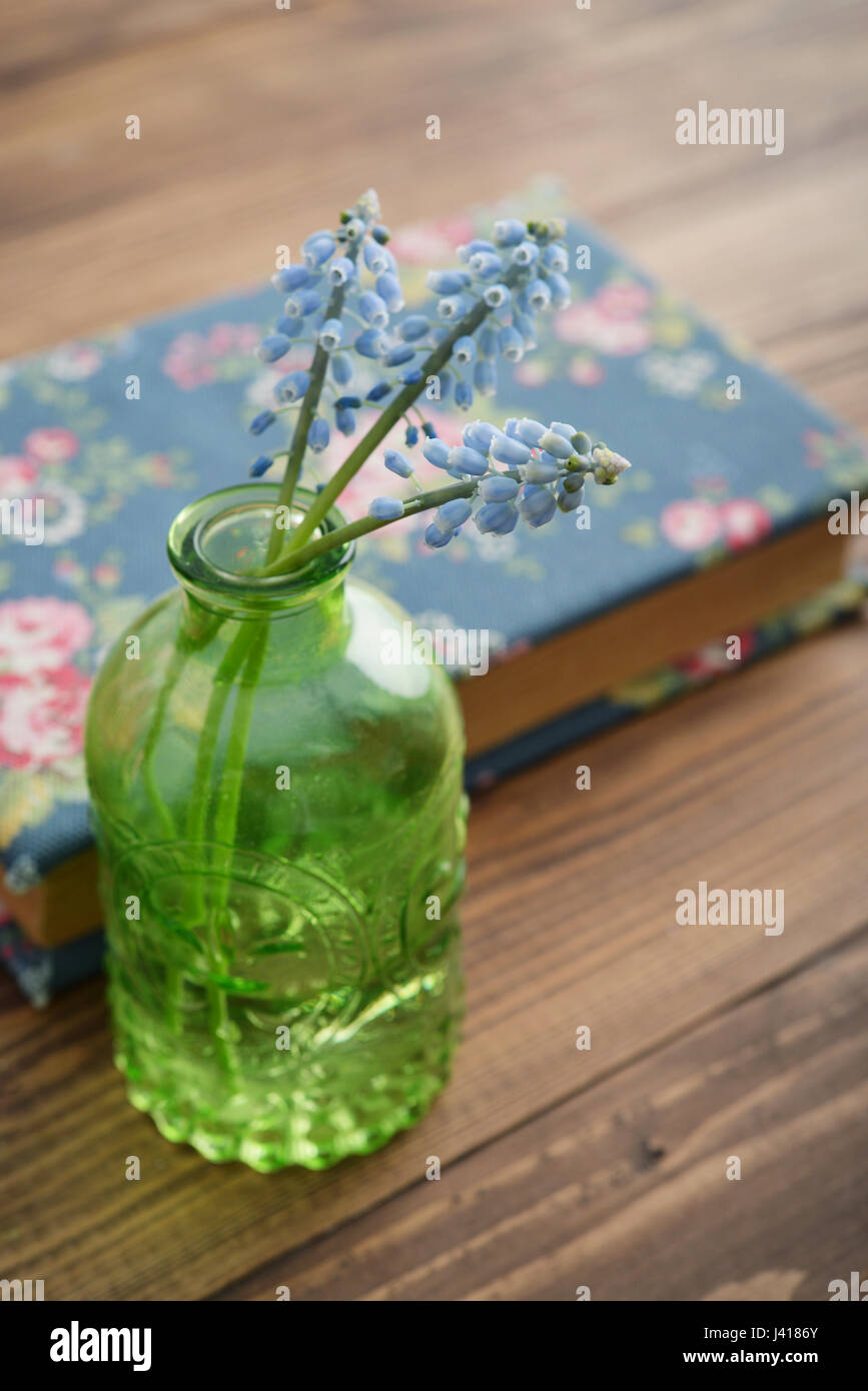 Bouquet of blue muscari in green glass bottle on wooden background Stock Photo