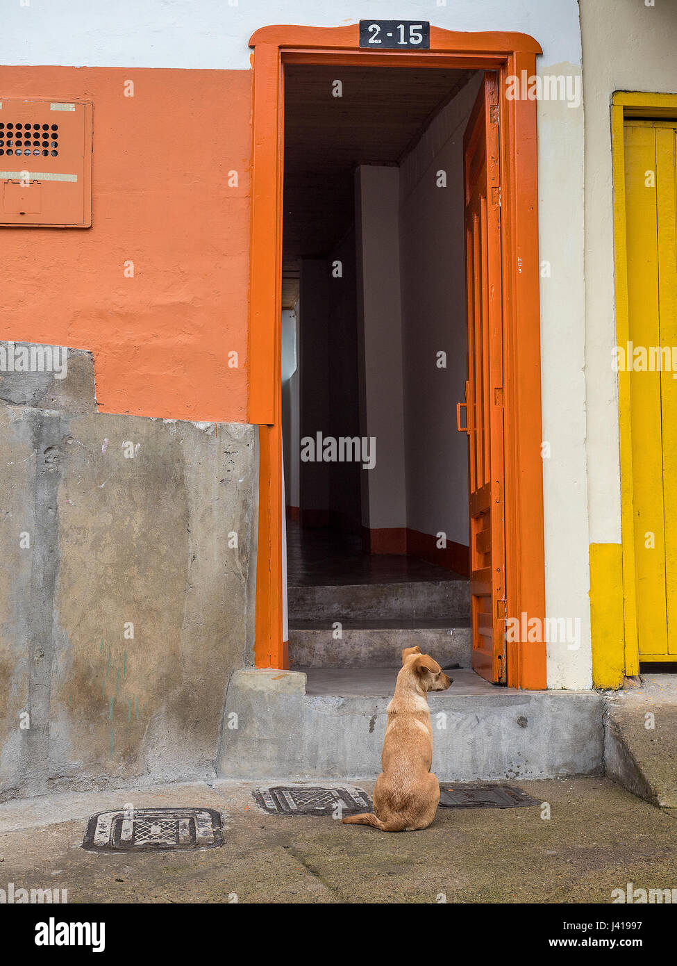 Red and green Stock Photo Alamy