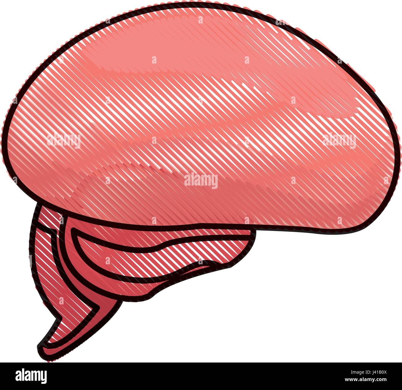 drawing brain human part healthy Stock Vector