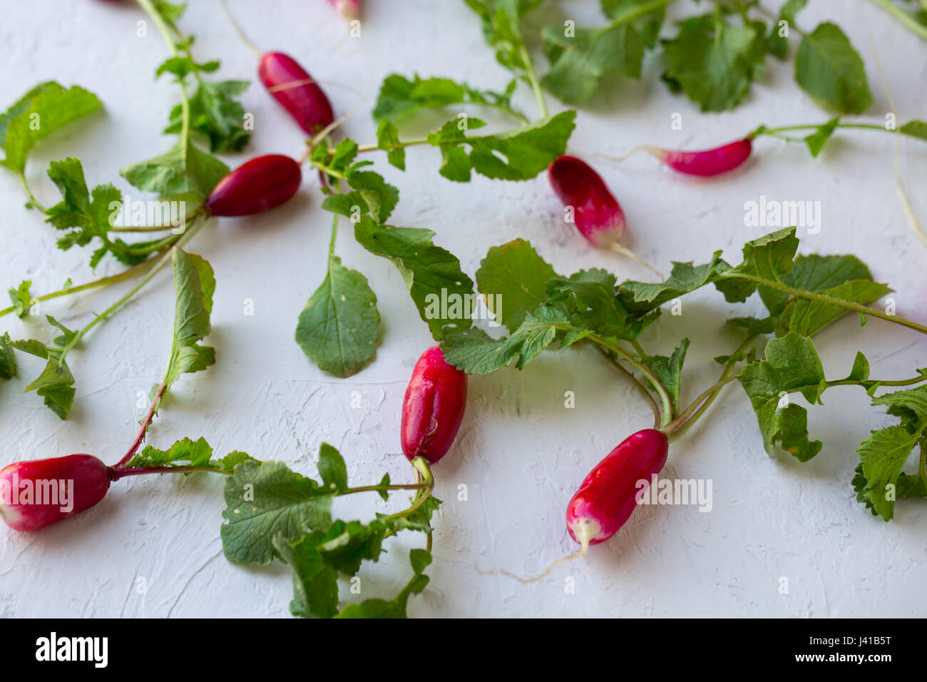 Table Raddish radishes on the table Stock Photo - Alamy