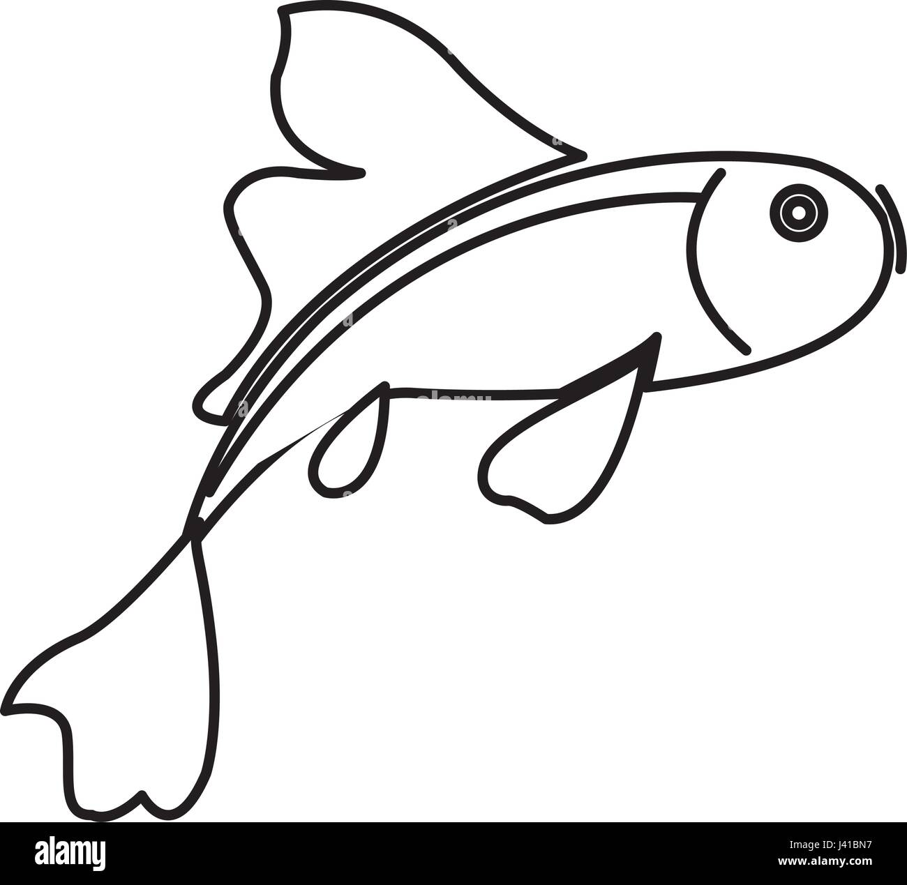 fish koi chinese animal asian decorative line Stock Vector Image & Art