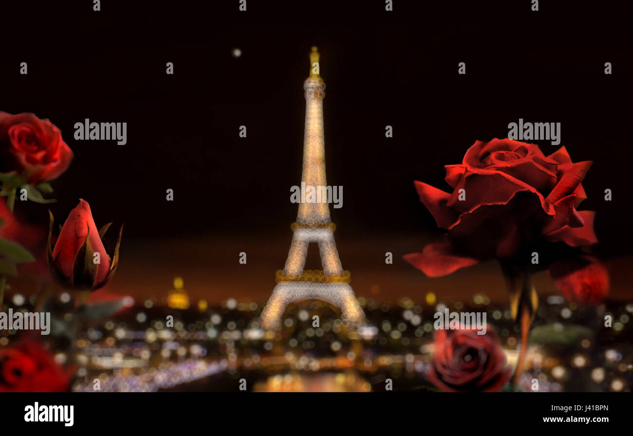 Paris at night with Eiffel Tower and roses, Paris, France Stock Photo