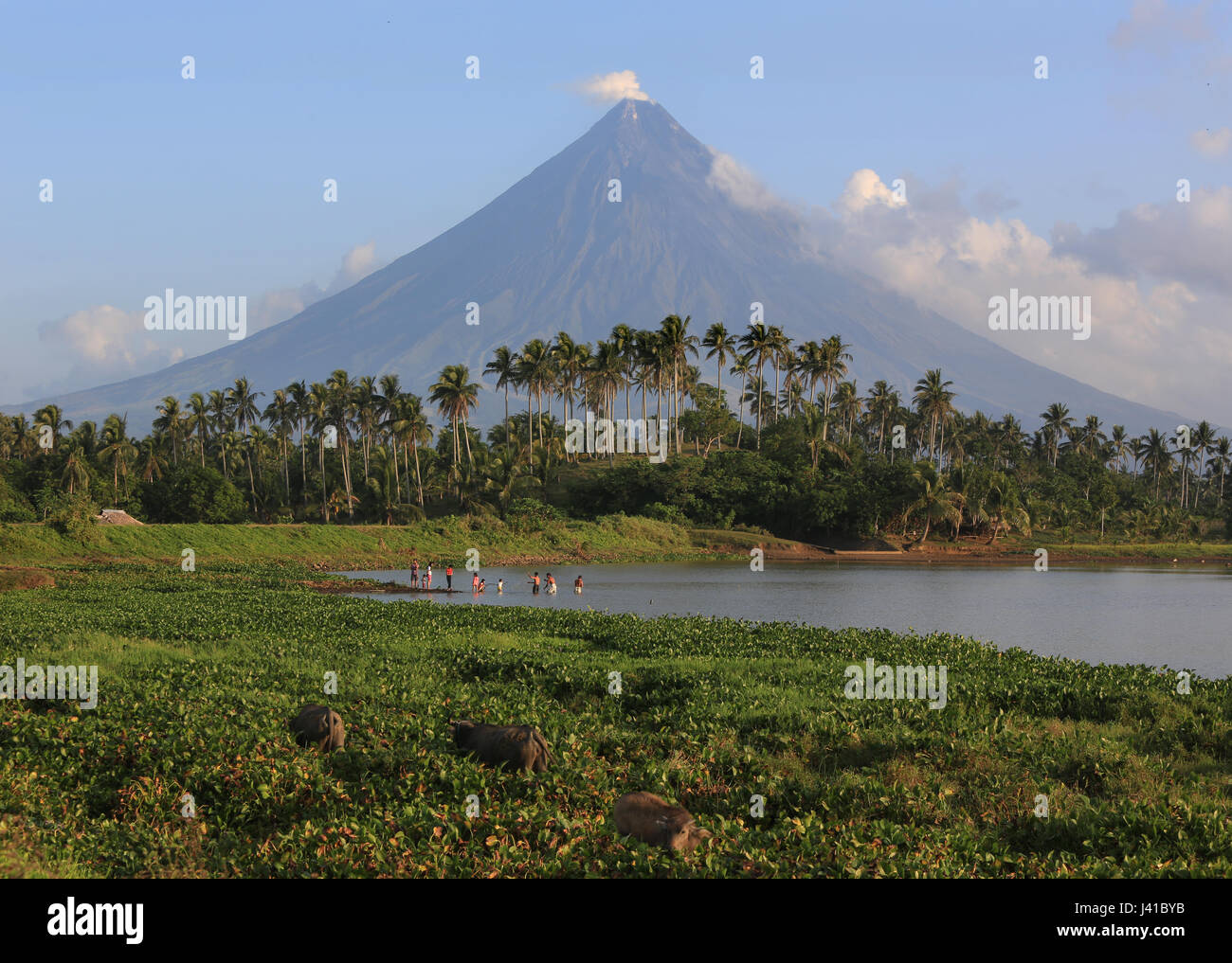 People bathing in a lake, Mayon volcano in the background, Legazpi, Philippines, Asia Stock Photo
