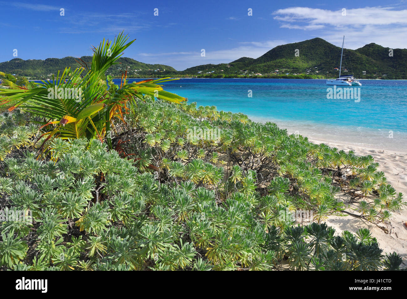 tropical beach with sailing ship, sea, Sandy Island, Carriacou, Grenada, Lesser Antilles, West Indies, Windward Islands, Antilles, Caribbean, Central America Stock Photo