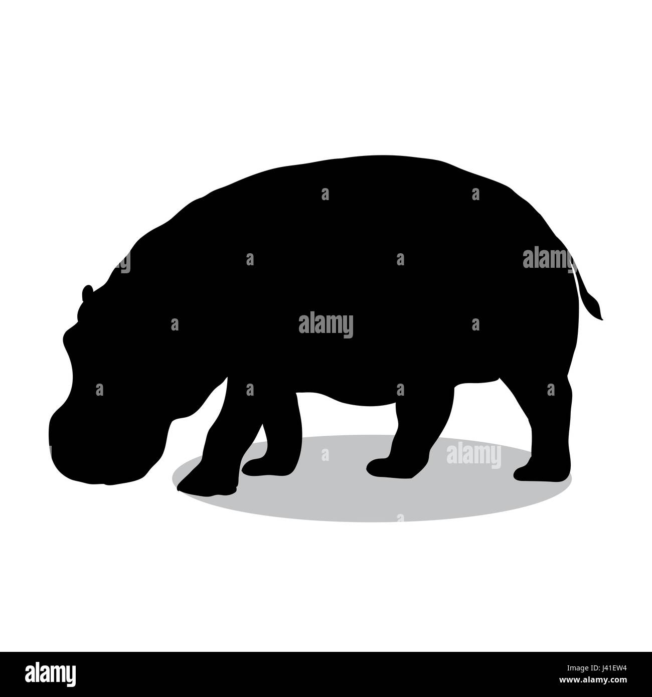 Black and white hippo hi-res stock photography and images - Alamy