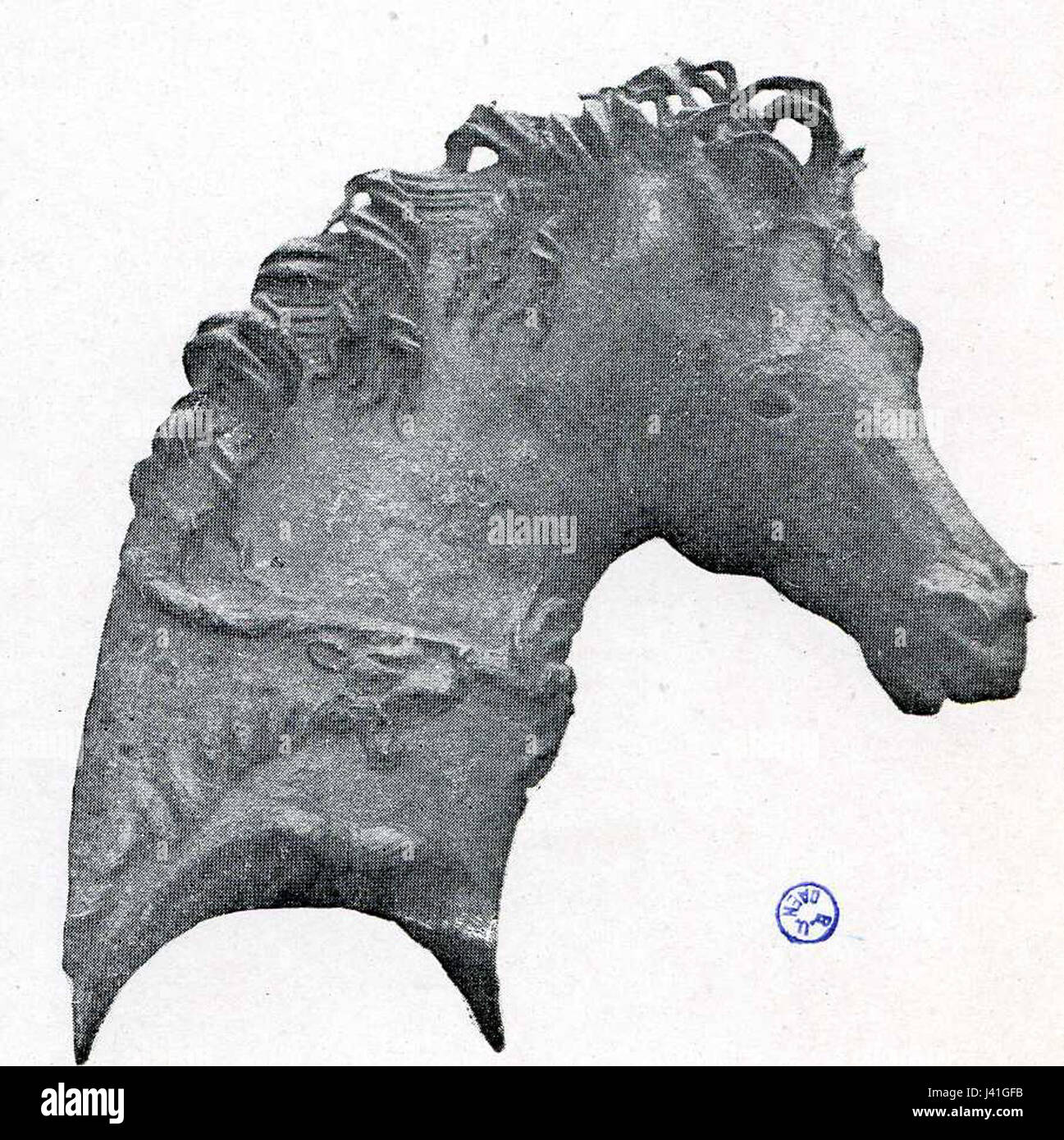 Protome hi-res stock photography and images - Alamy