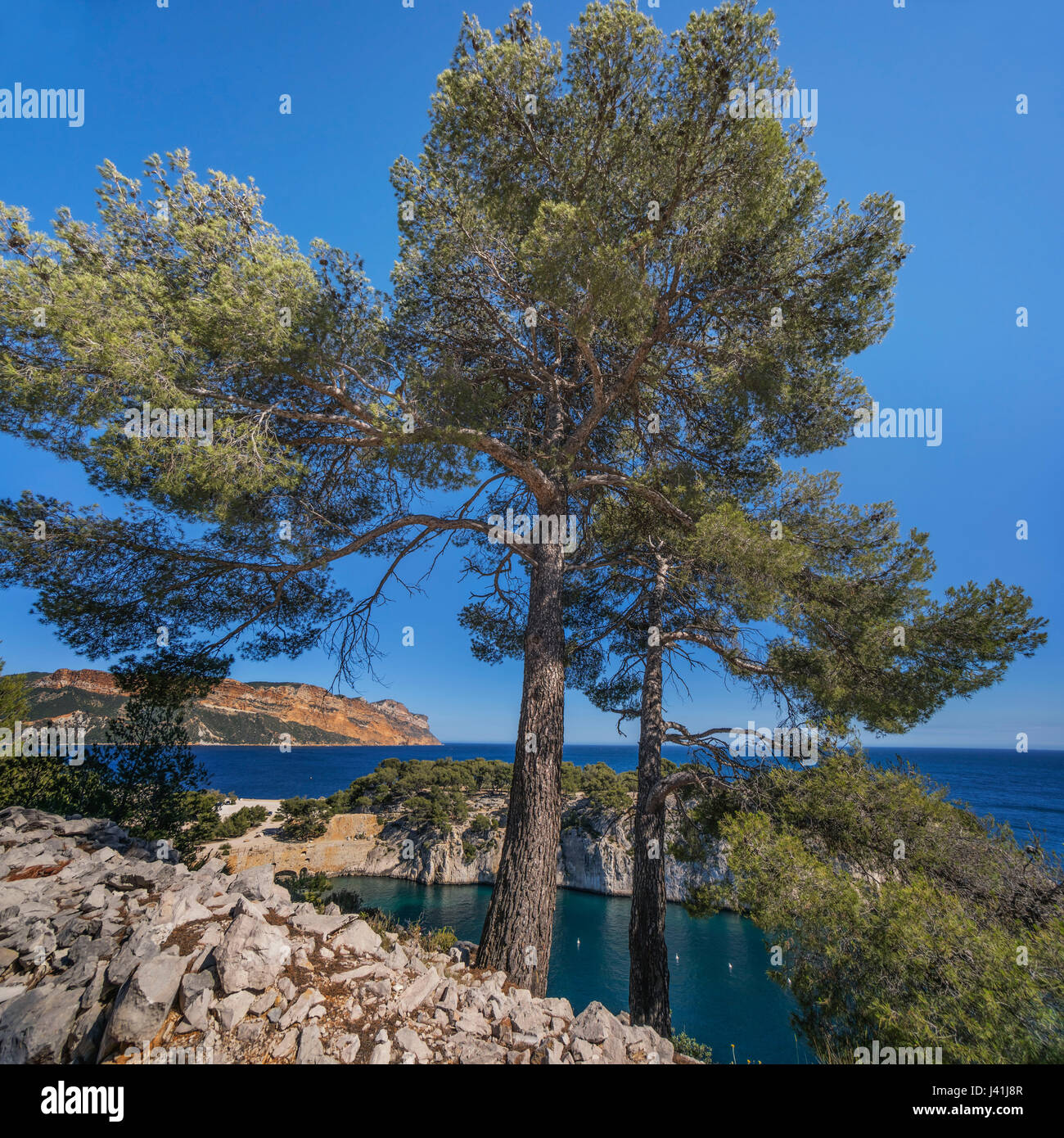 Port Miou, Calanques, Cliff, Cassis,  Provence, France Stock Photo