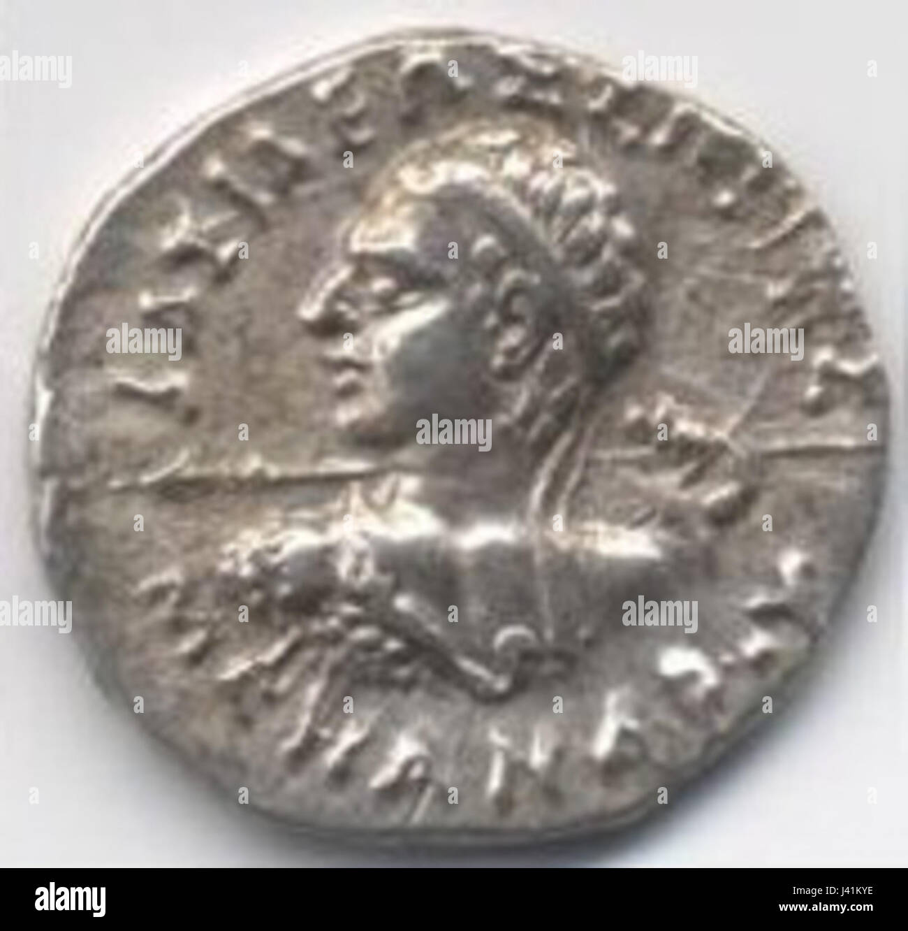 Ancient bactria hi-res stock photography and images - Alamy