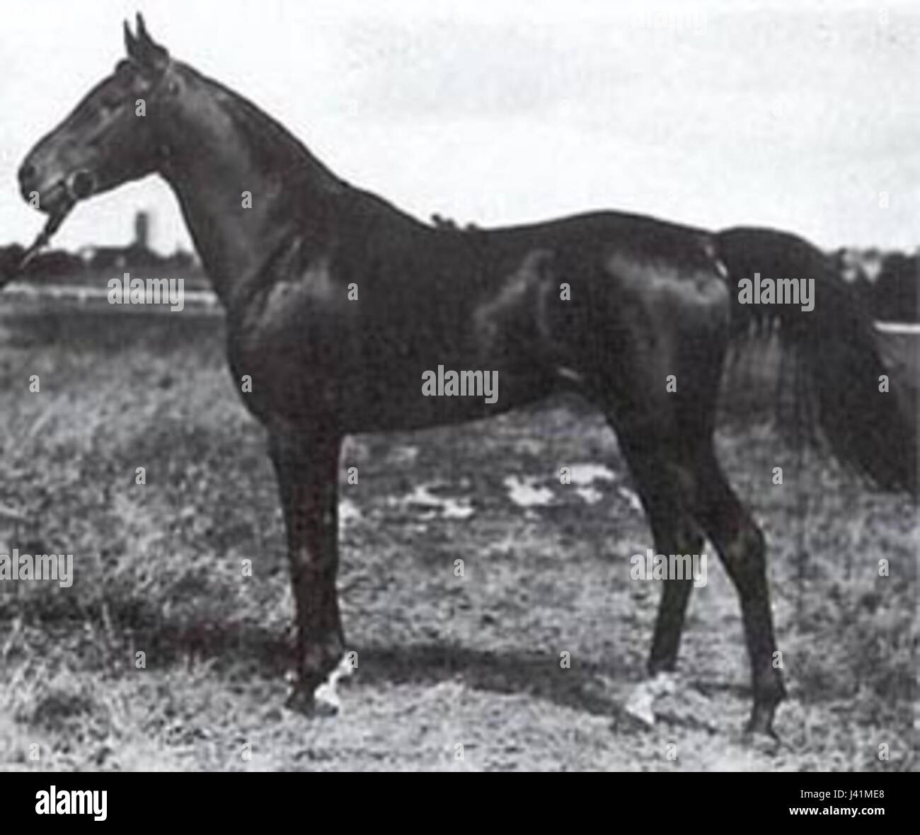 Parco Massari (2026) - All You Need to Know BEFORE You Go (with Reviews), image size:1300x1180