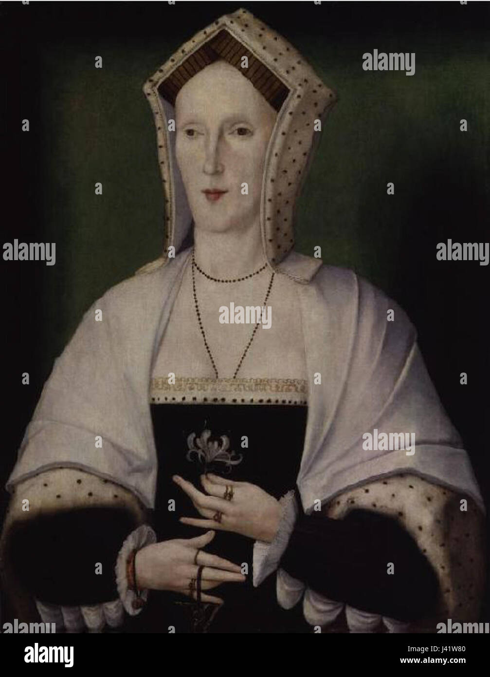 Margaret Pole, 8th Countess of Salisbury Stock Photo Alamy