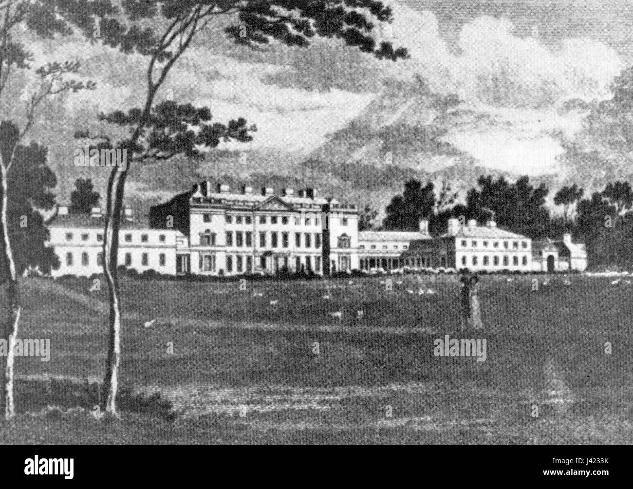 Leinster House 1824 Stock Photo Alamy