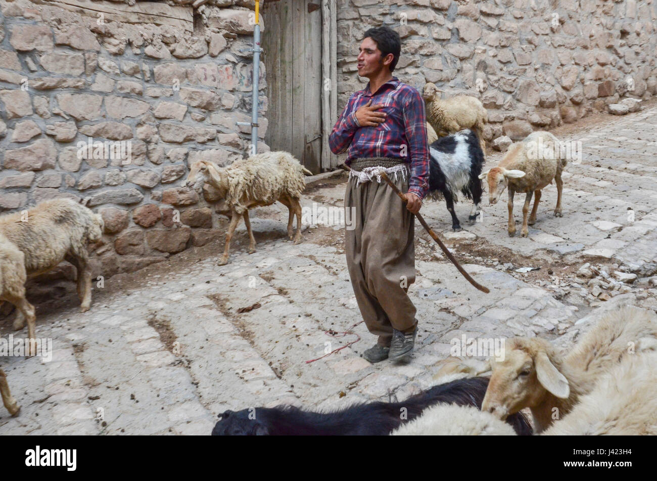 Shepherd With His Sheep In The Streets Of Esfidan, A Traditional Rural Village, North Khorasan Province, IRAN Stock Photo
