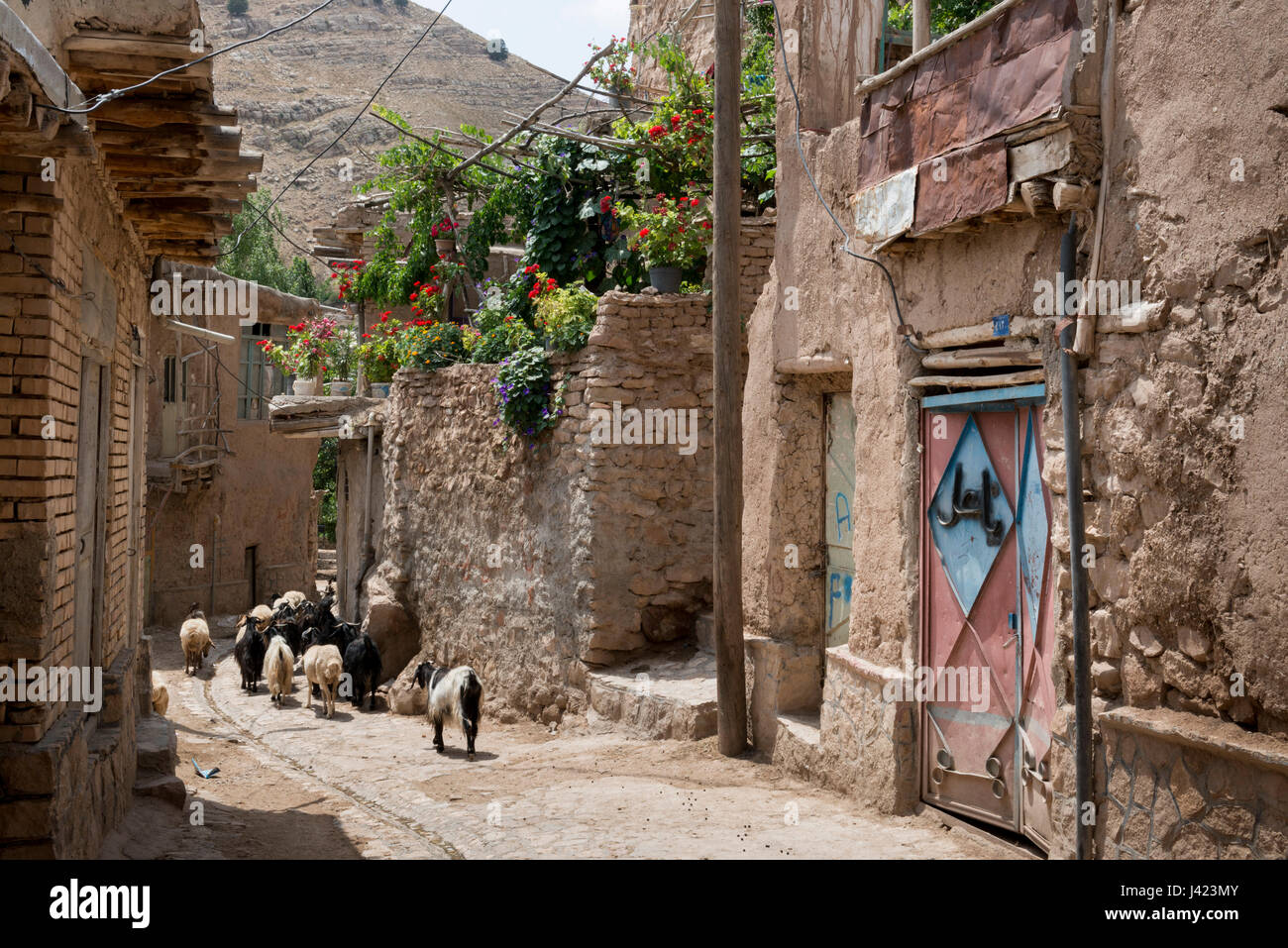 A Street With Typical Houses, Esfidan, A Traditional Rural Village, North Khorasan Province, IRAN Stock Photo
