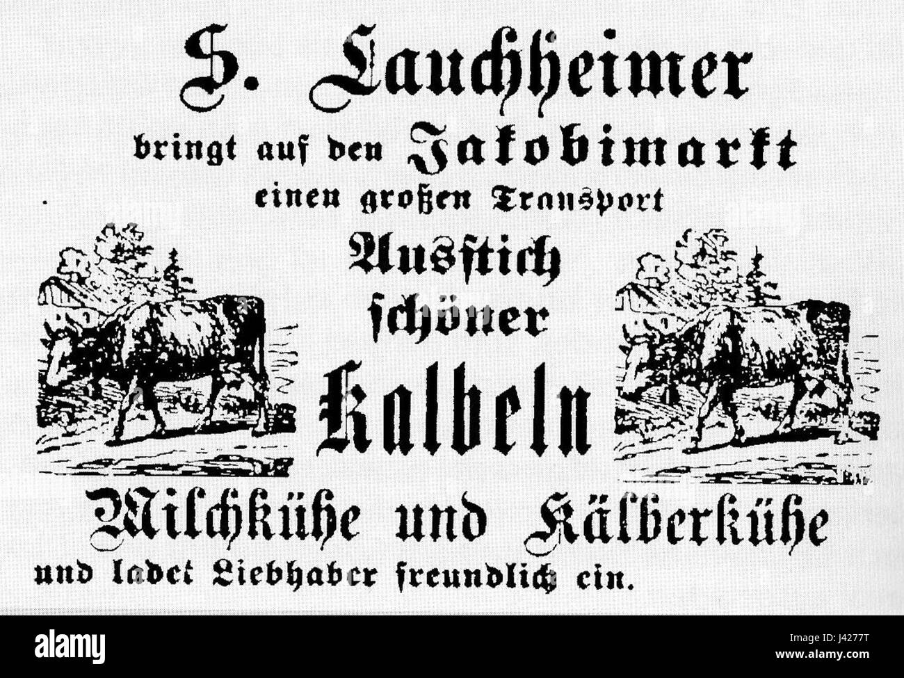 Lauchheimer Anzeige 1896 Stock Photo