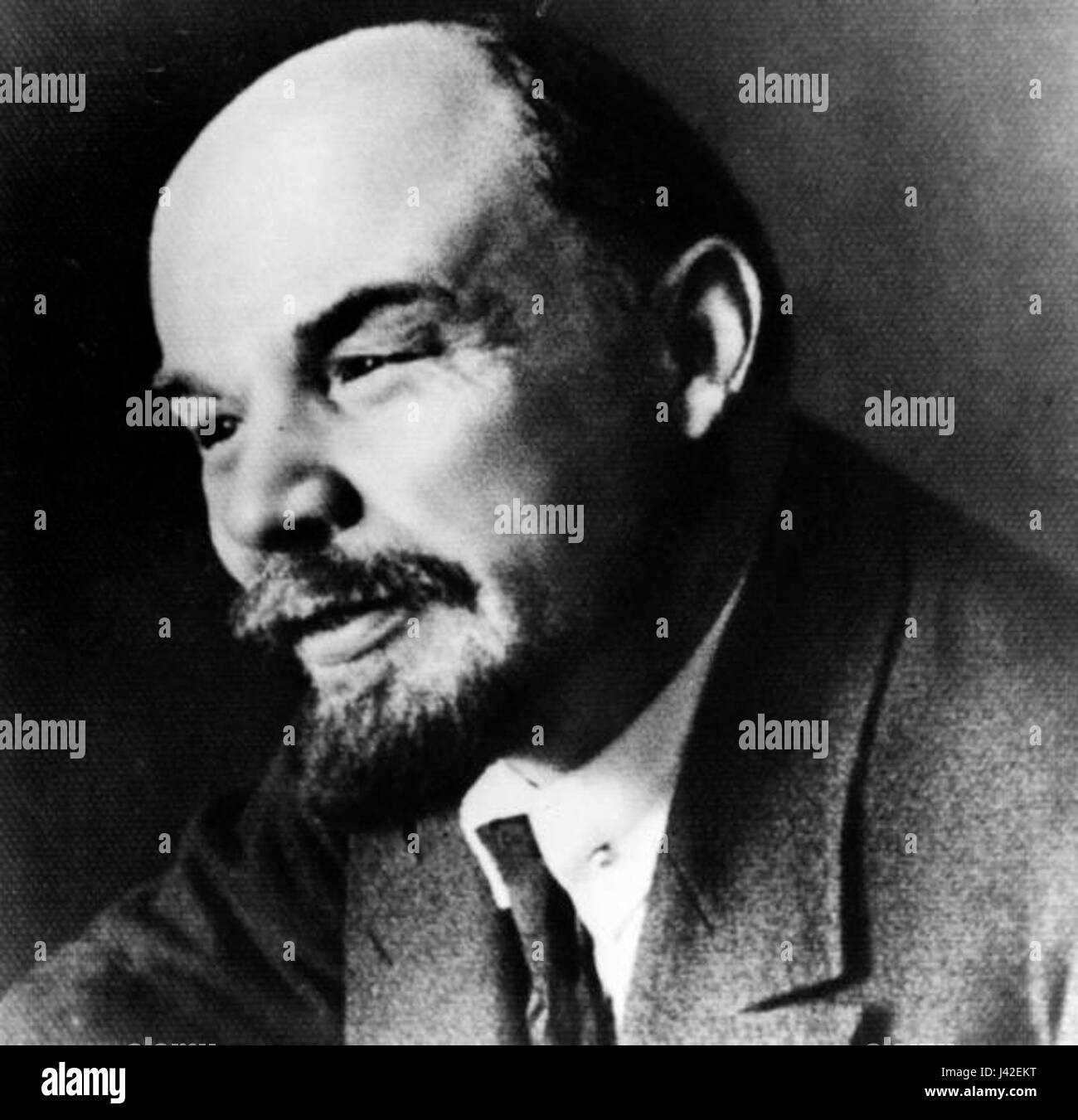 This image or reference may focus on a portrait or profile of Vladimir ...