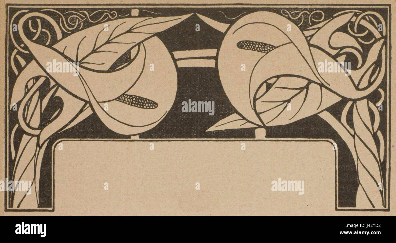 Lilien flowers Stock Photo Alamy