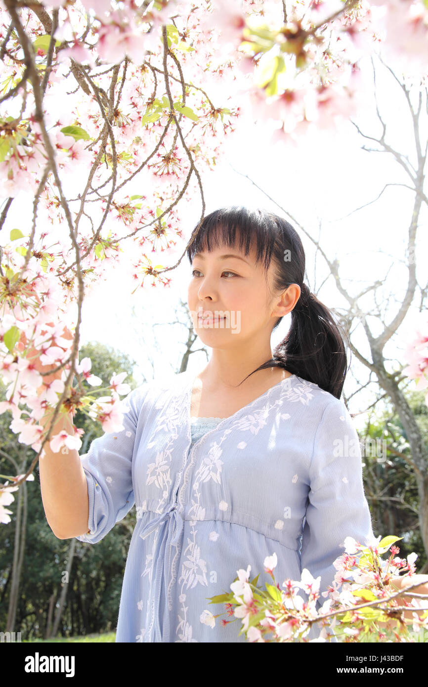 Portrait of young japanese woman with cherry blossom Stock Photo
