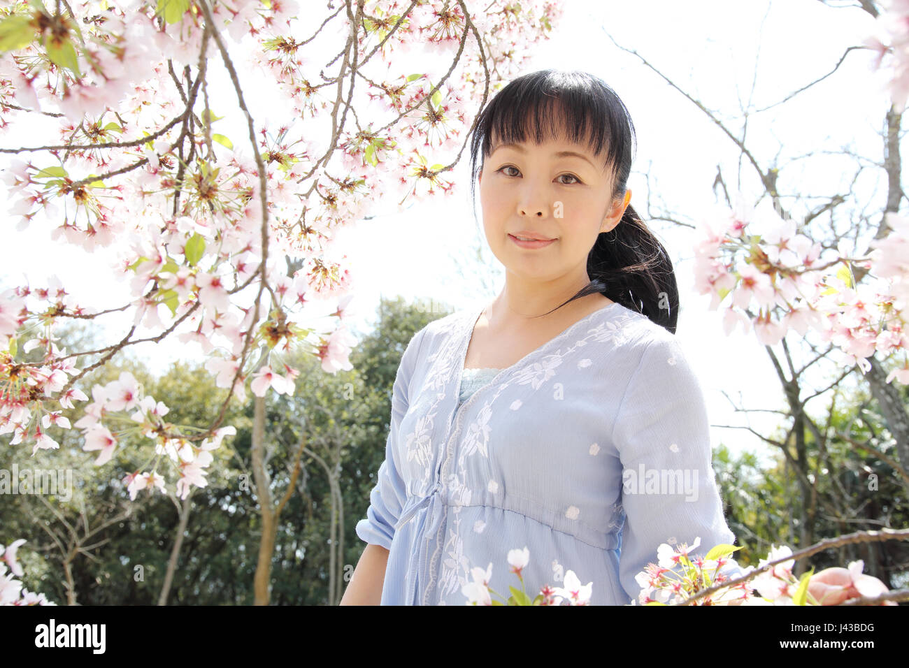 Portrait of young japanese woman with cherry blossom Stock Photo
