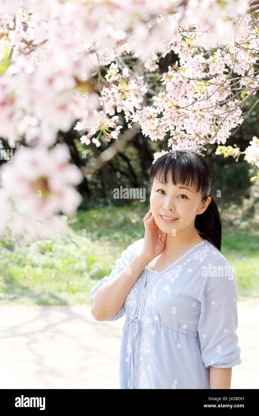 Portrait of young japanese woman with cherry blossom Stock Photo - Alamy