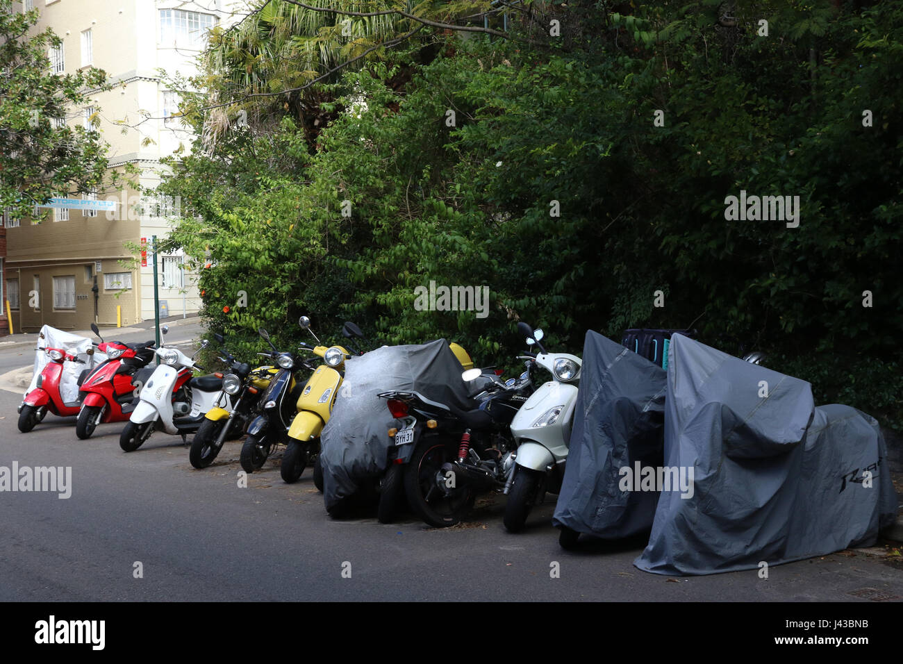 Designated parking for motorcycles and scooters on Billyard Avenue