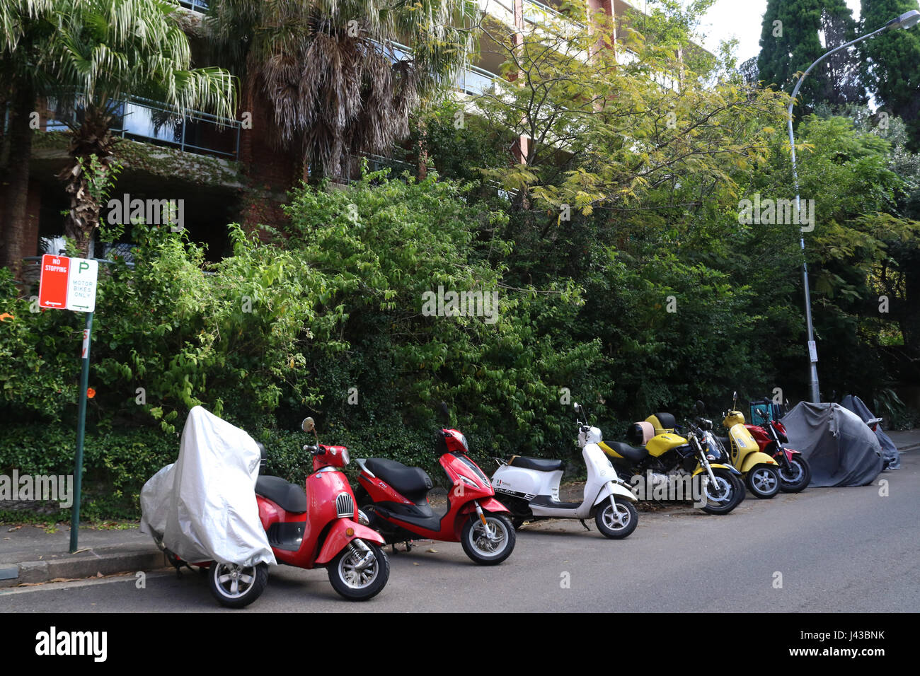 Designated parking for motorcycles and scooters on Billyard Avenue