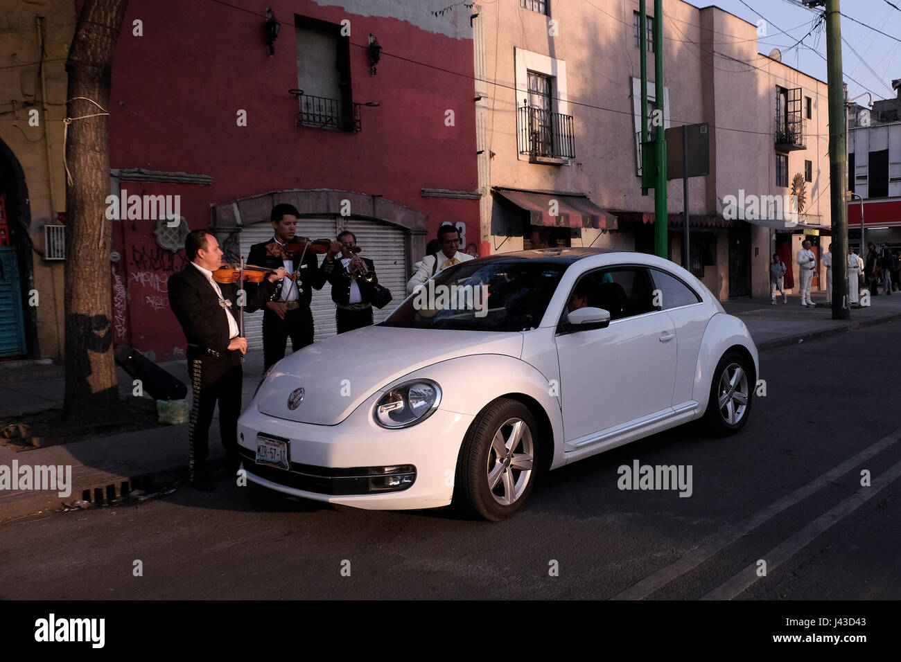 Mariachi musicians play traditional songs for a couple seated in a car