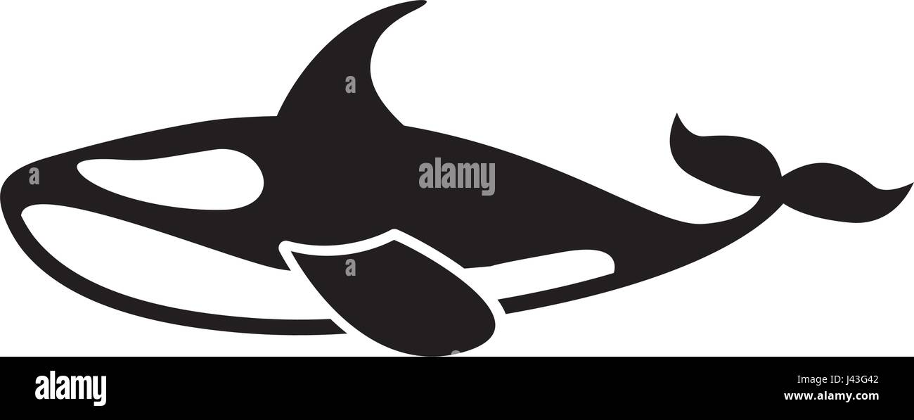 Orca whale isolated icon Stock Vector Image & Art - Alamy