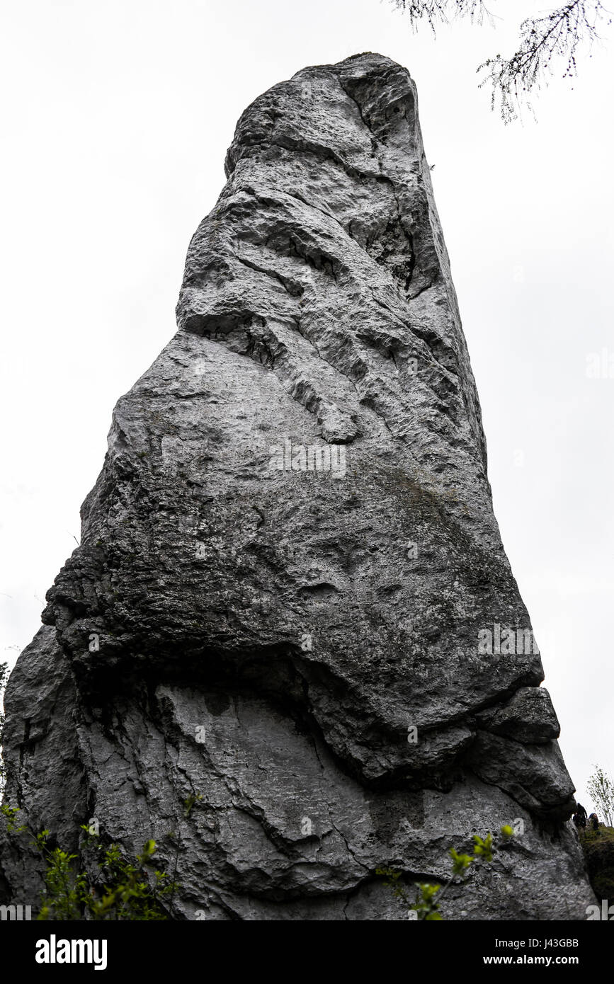 Polish jurassic rocks on a hill in jura krakowsko czestochowska. Stock Photo