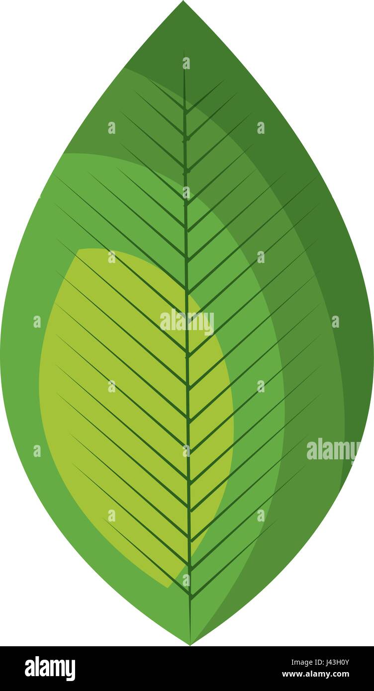 leafs plant ecology icon Stock Vector Image & Art - Alamy