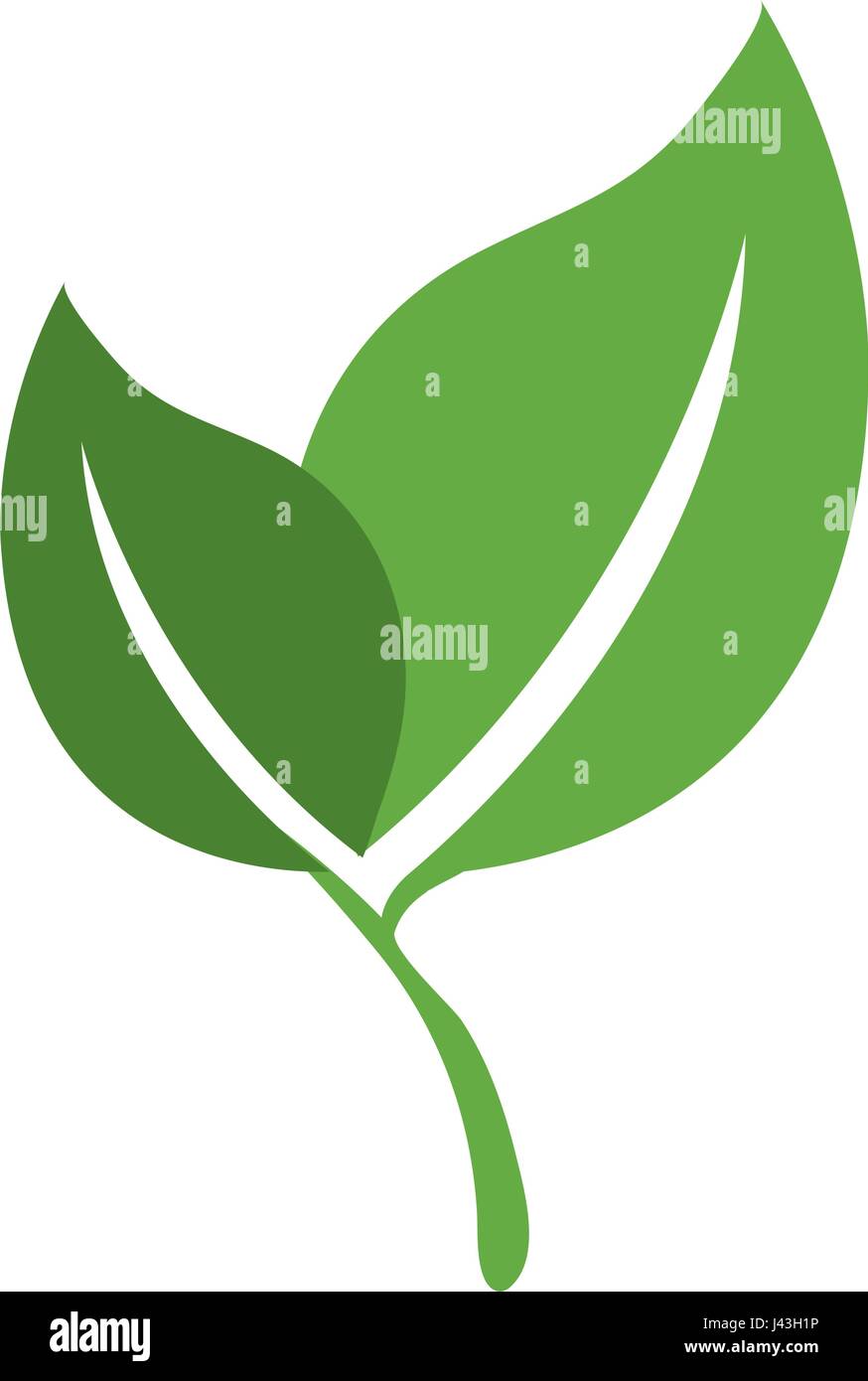 leafs plant ecology icon Stock Vector Image & Art - Alamy